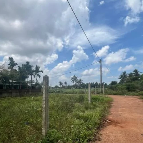 புன்னாலைக்கட்டுவனில் 1 பரப்பு காணி விற்பனைக்கு